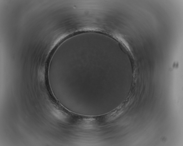 X0000091460108200708161530
