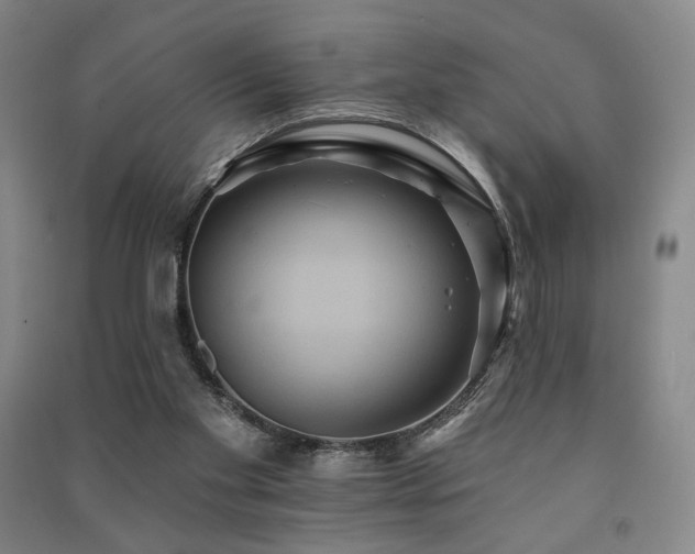 X0000091460109200708161530
