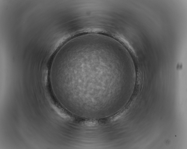 X0000091460110200708161530