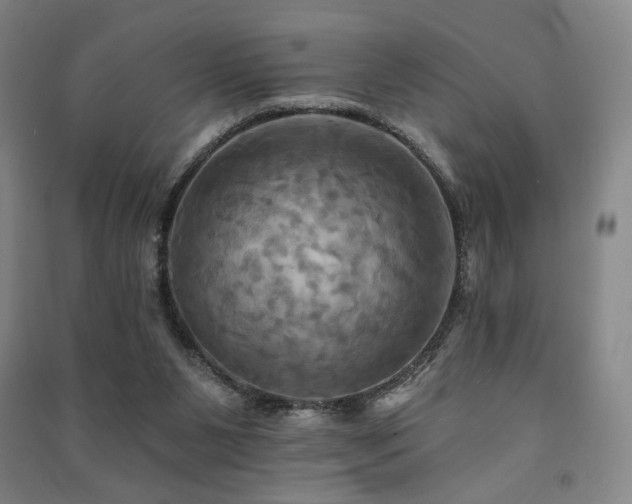 X0000091460111200708161530