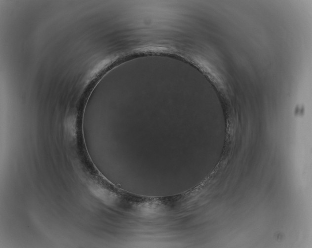 X0000091460112200708161530