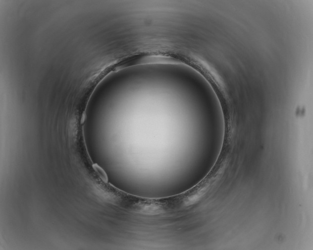 X0000091460113200708161530