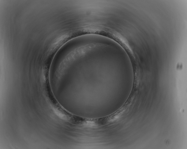 X0000091460114200708161530