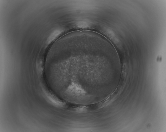 X0000091460116200708161530