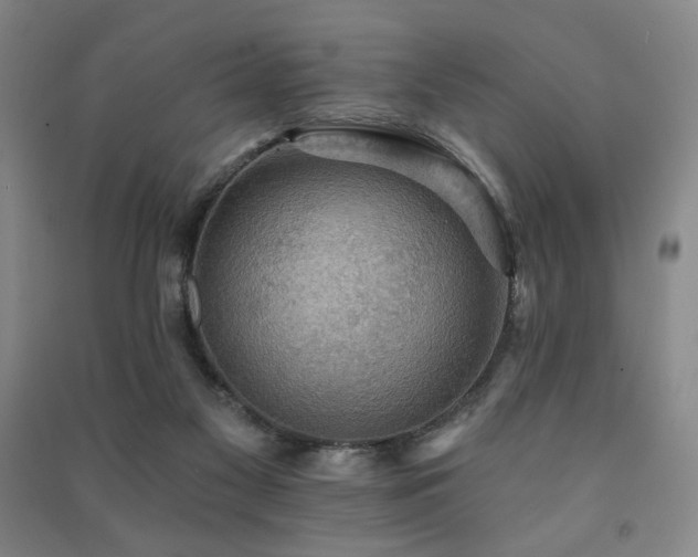 X0000091460117200708161530