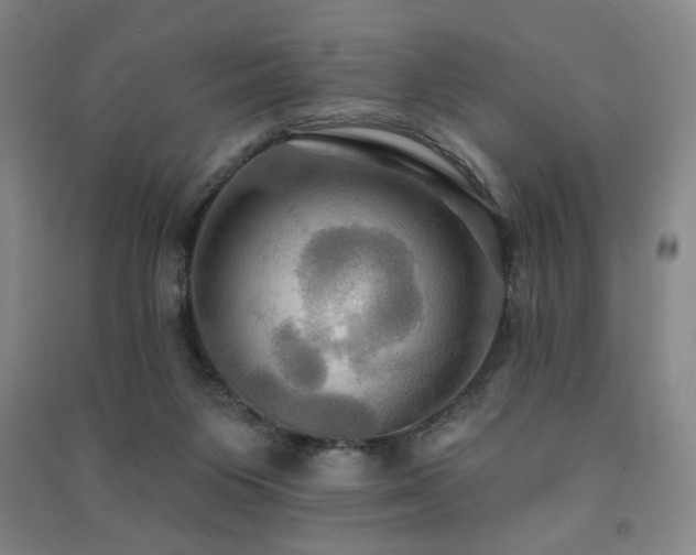 X0000091460119200708161530