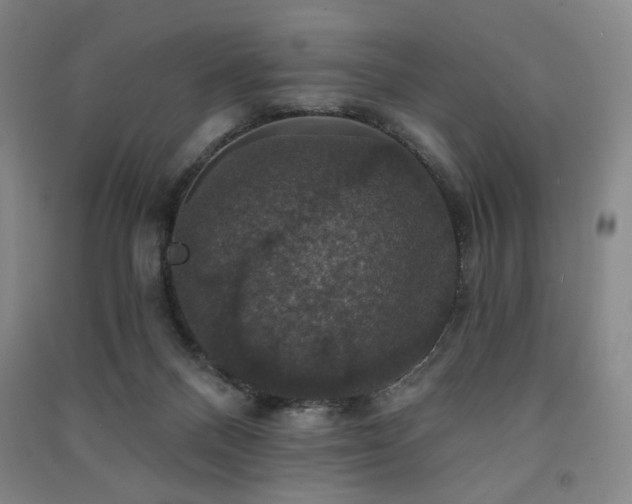 X0000091460120200708161530