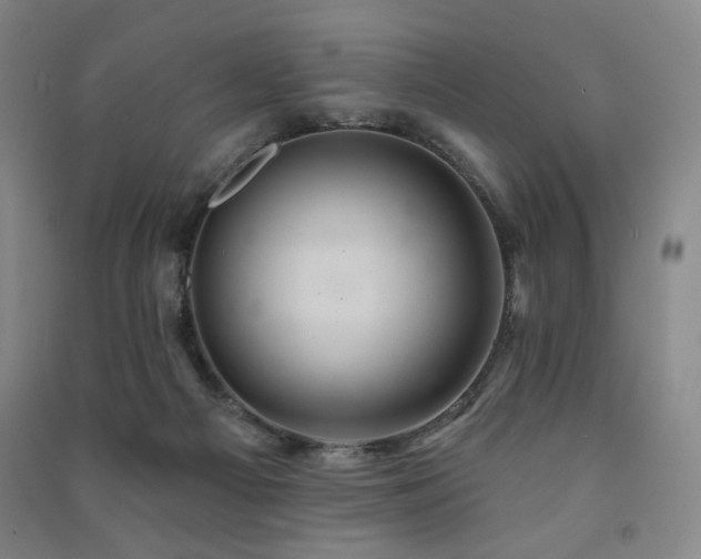 X0000091460121200708161530