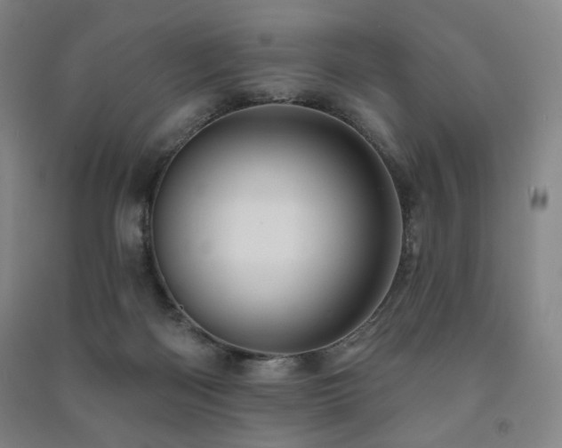 X0000091460122200708161530