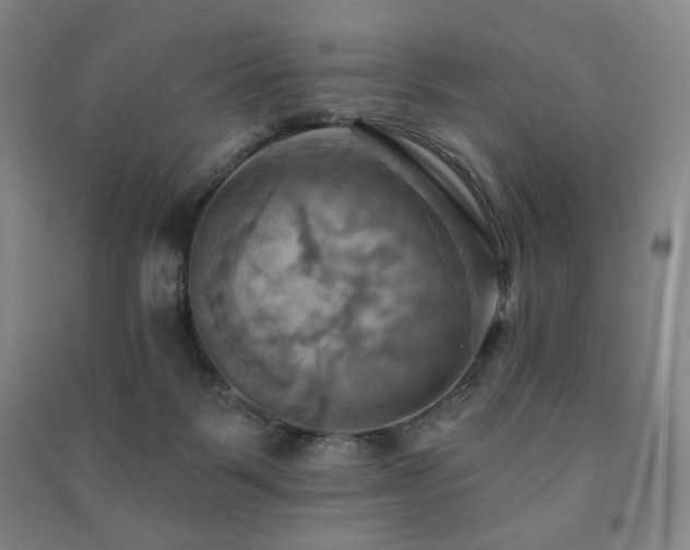 X0000091460123200708161530