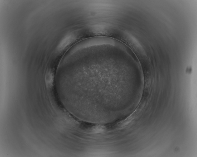 X0000091460124200708161530