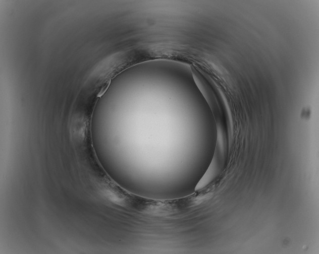 X0000091460125200708161530