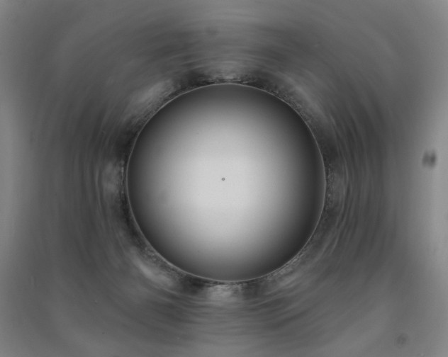 X0000091460126200708161530