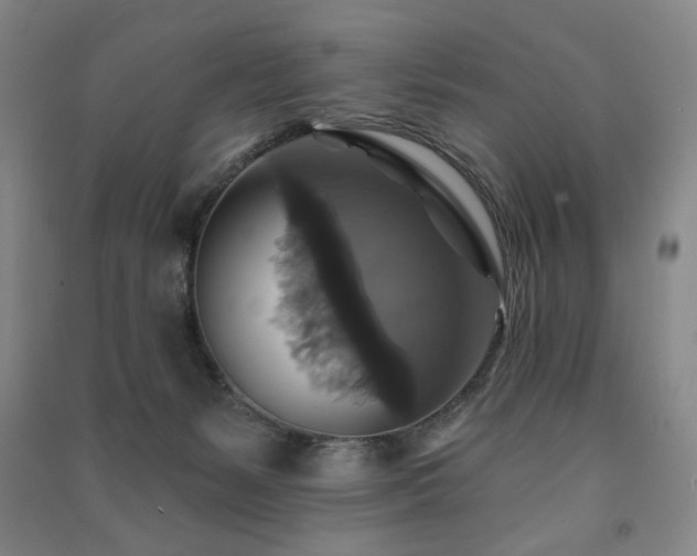 X0000091460127200708161530