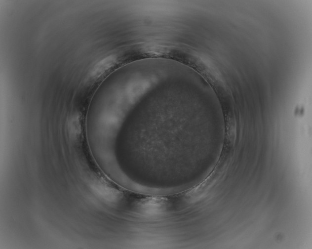 X0000091460128200708161530