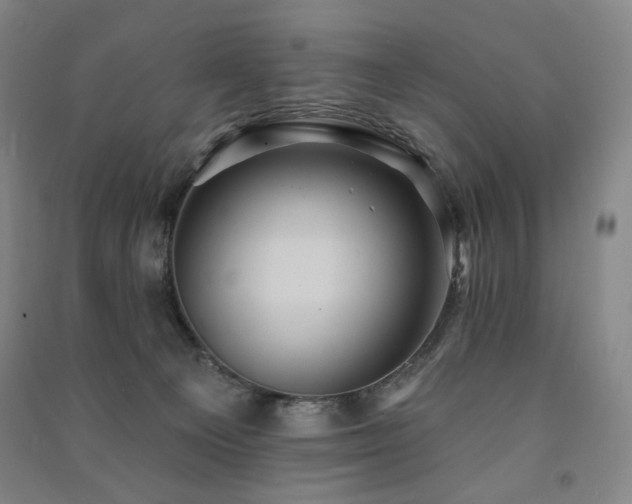 X0000091460129200708161530