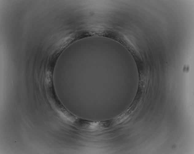 X0000091460130200708161530