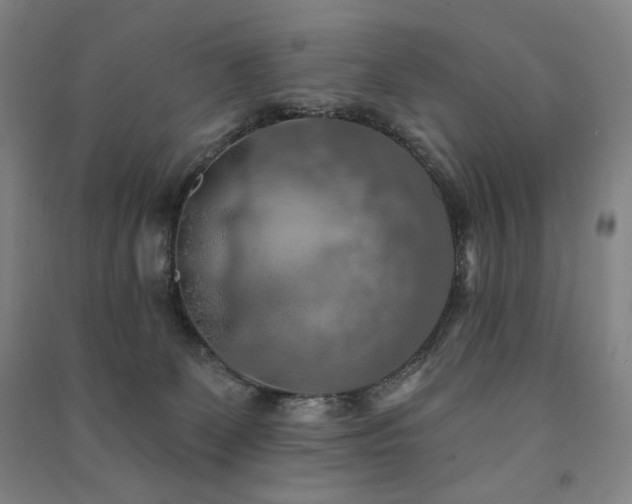 X0000091460131200708161530