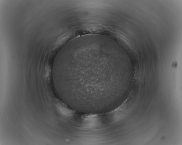 X0000091460132200708161530