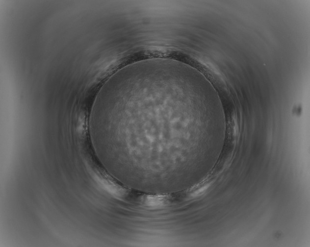 X0000091460134200708161530