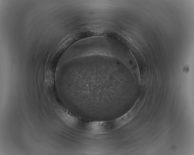 X0000091460136200708161530