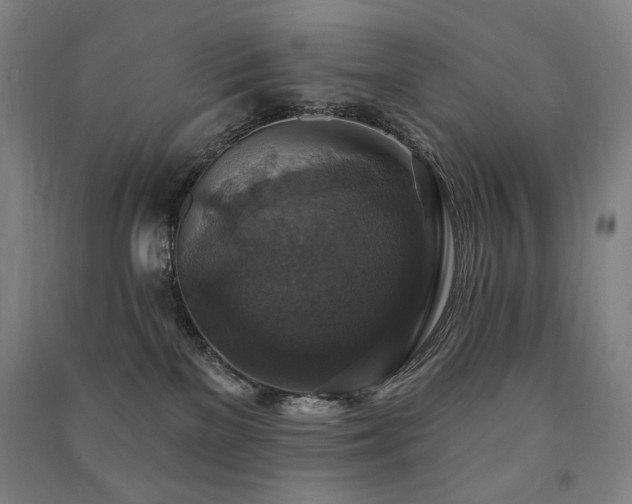 X0000091460137200708161530