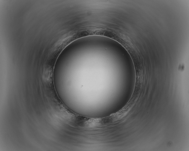 X0000091460138200708161529