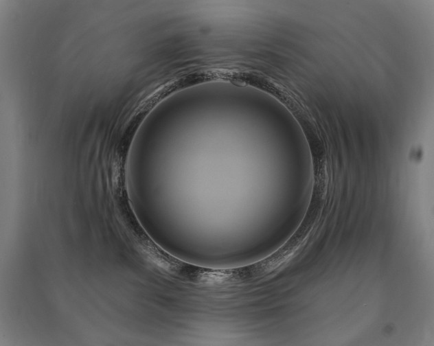 X0000091460139200708161529