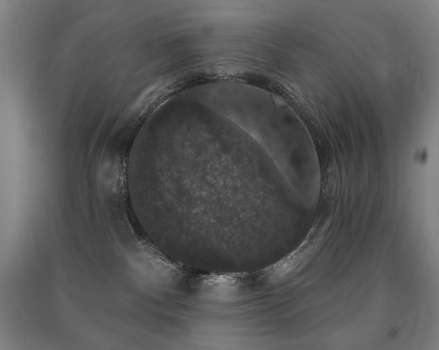 X0000091460140200708161529