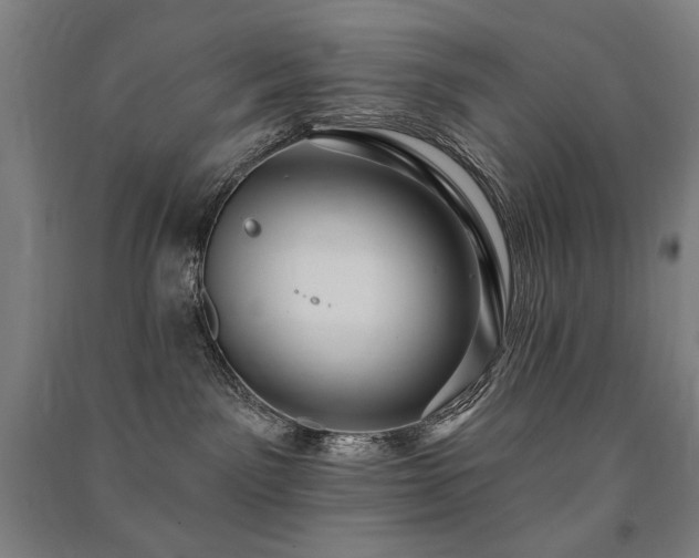 X0000091460141200708161529