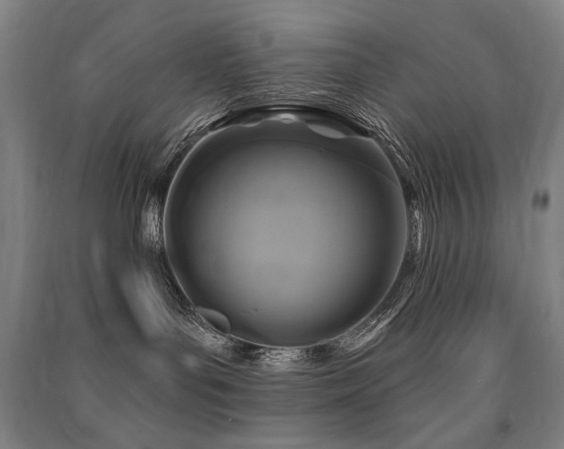 X0000091460143200708161529