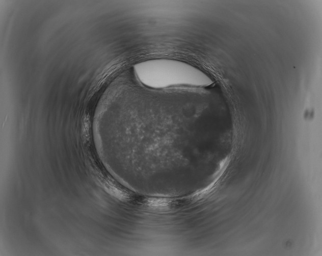 X0000091460144200708161529