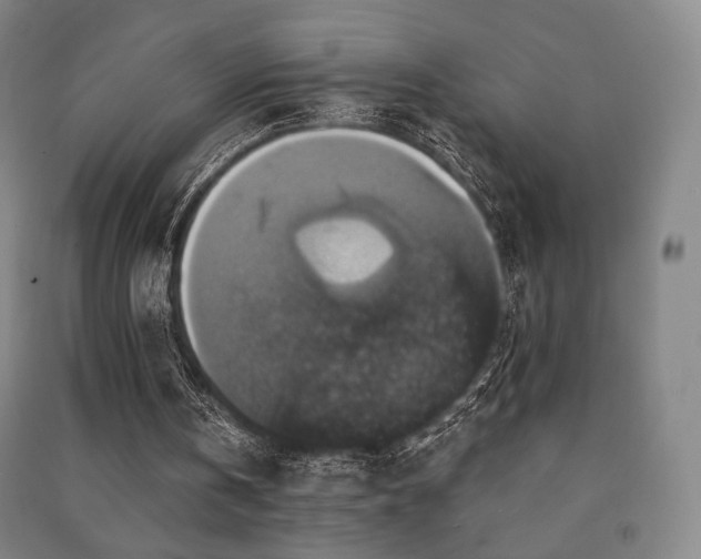 X0000091460146200708161529
