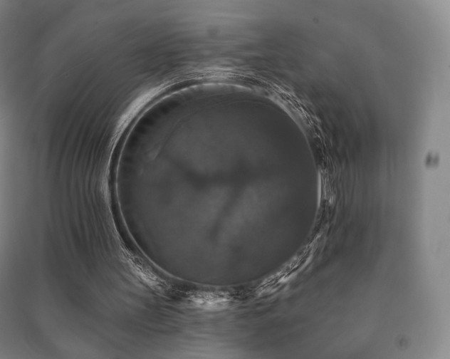 X0000091460147200708161529