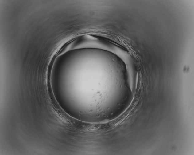 X0000091460148200708161529