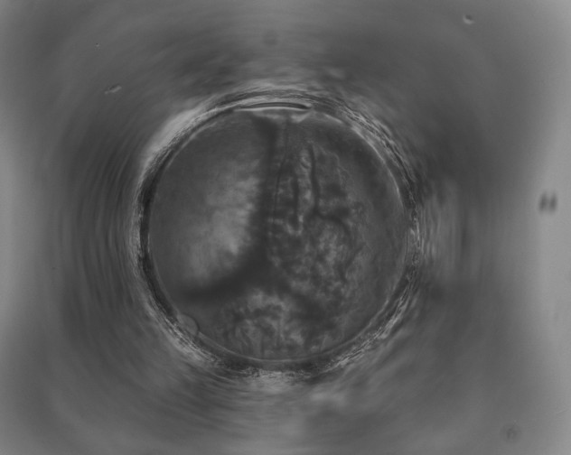 X0000091460149200708161529