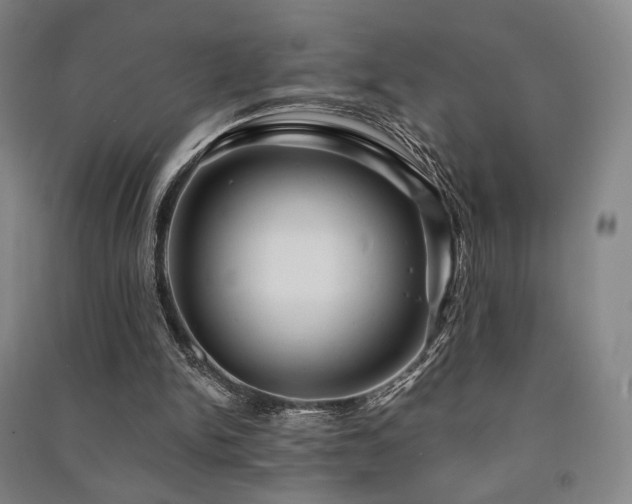 X0000091460150200708161529
