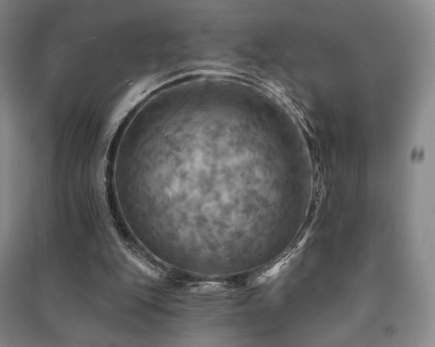X0000091460151200708161529