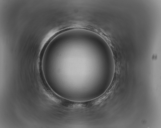 X0000091460152200708161529