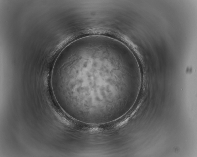 X0000091460153200708161529