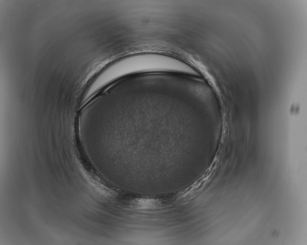X0000091460154200708161529
