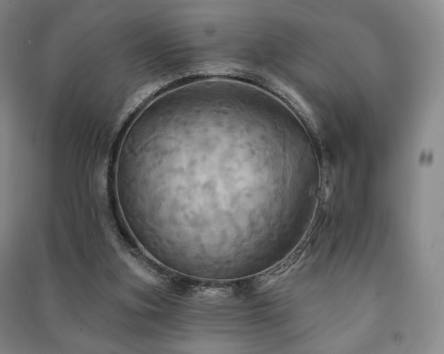 X0000091460155200708161529