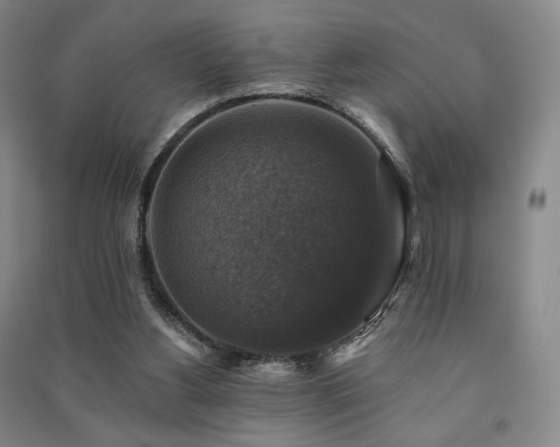 X0000091460156200708161529