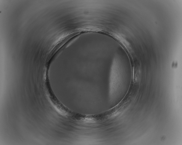 X0000091460157200708161529