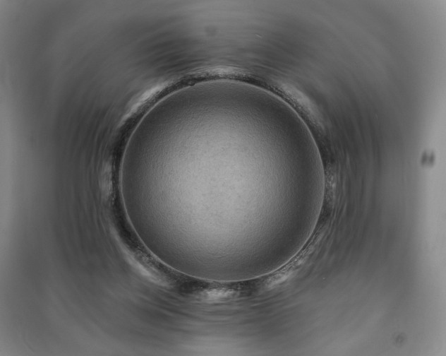 X0000091460158200708161529