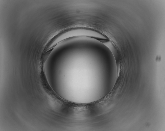 X0000091460160200708161529
