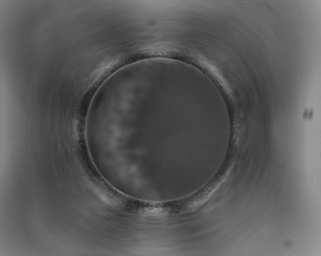 X0000091460161200708161529