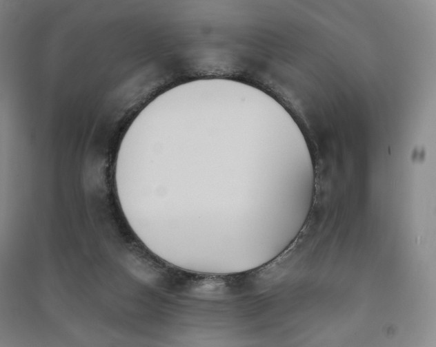 X0000091460162200708161529