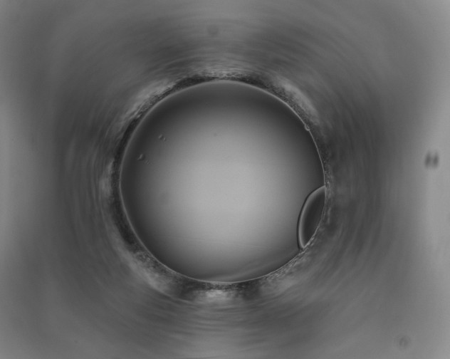 X0000091460163200708161529