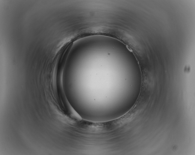 X0000091460164200708161529